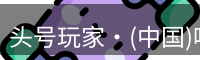 头号玩家·(中国)唯一官方网站